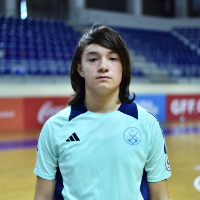 მათე მამაგეიშვილი