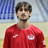 გიორგი ძიგრაშვილი