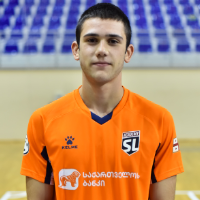 გიორგი თოდრია